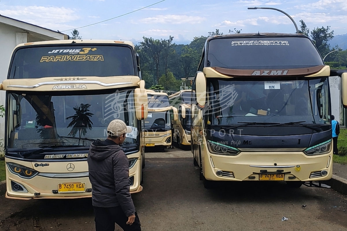 Menjelajahi Kesejukan Gunung Mas Puncak dengan Kemewahan Armada Melody Transport