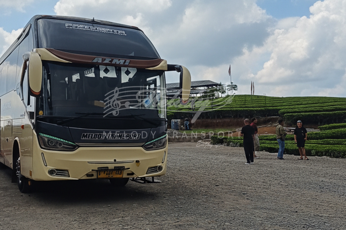 Safari Ceria Anak Jakarta: Field Trip TK Permata Bangsa ke Lembang Park & Zoo dengan Big Bus Melody